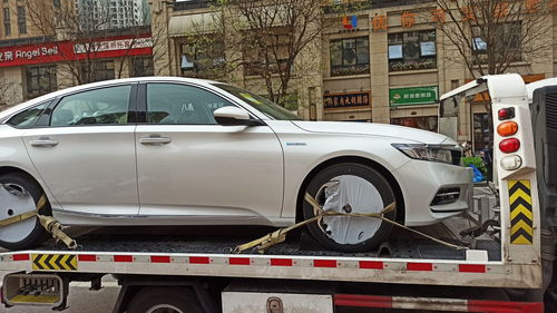 为什么懂车的人开标致,为什么懂车的人开标致308