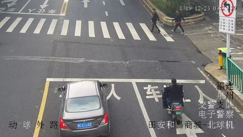 粤牌车辆违章查询,输入车牌号查询违章粤