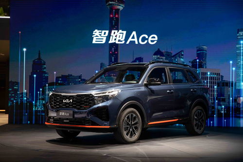 东风悦达起亚kia,东风悦达起亚KIA小轿车