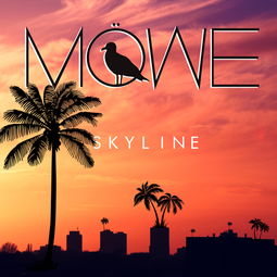 skyline,skyline加速器app