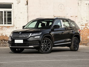 大众越野车5万一6万,大众suv5万