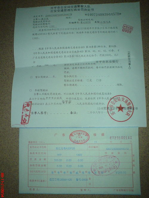 金盾网交通违章查询,金盾网交通违章查询盾