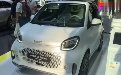 奔驰迷你mini女款图片,奔驰迷你smart报价