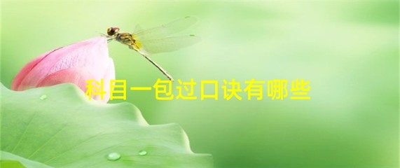 科目一包过口诀,科目一包过口诀2023