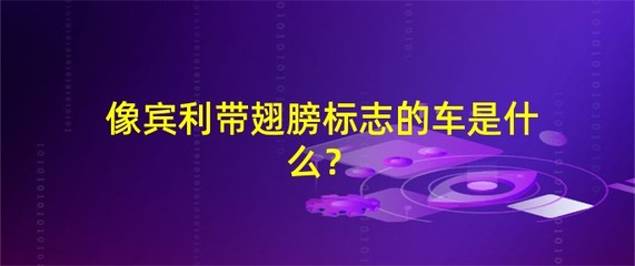 像宾利带翅膀标志的车,像宾利带翅膀标志的车 中间是豹子头