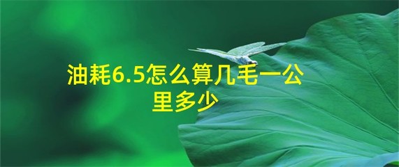 油耗怎么算几毛一公里,油耗怎么算几毛一公里20排量一公里多少钱
