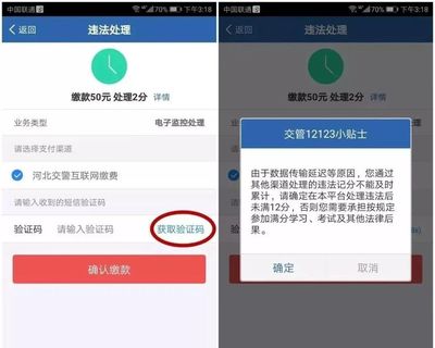 交警123123违章交费,交警123123违章交费津AFA779