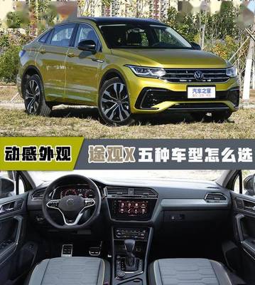 大众途观x,大众途观x2023款价格及图片