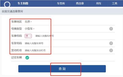 免费违章查询非本人车辆,违章查询非本人车辆可以查吗