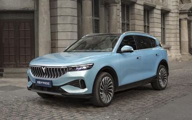 岚图汽车2022款最新款价格,岚图汽车图片