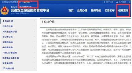 怎么查询非本人车辆的违章,如何查非本人车辆违章信息