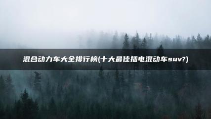 十大最佳插电混动车,十大最佳插电混动车价格