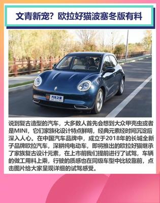 五菱mini甲壳虫,五菱mini甲壳虫电动