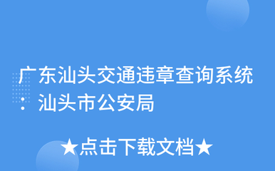 广东省交通违章查询系统,广东交通违章查询网上查询