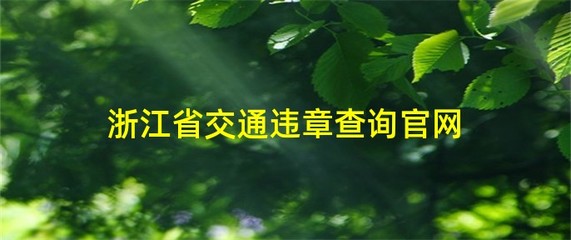 浙江省交通违章查询官网,浙江交通违章查询平台