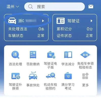 12123查询车辆信息,交管12123查询车辆信息