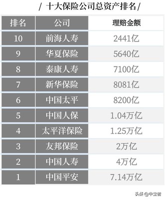 中国保险公司十大排名,中国保险公司十大排名知乎