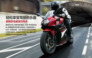 铃木摩托车250最新款,铃木摩托车250最新款价格图片