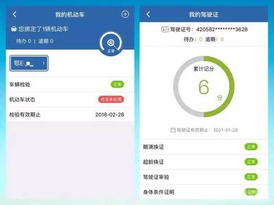 网上车管所查询平台,网上车管所查询平台 网址