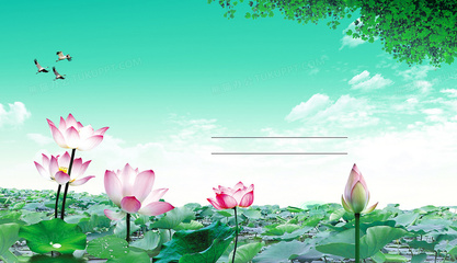 莲花图片大全,莲花图片大全109张
