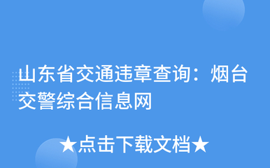 山东省交通违章查询,山东交管局官网违章查询