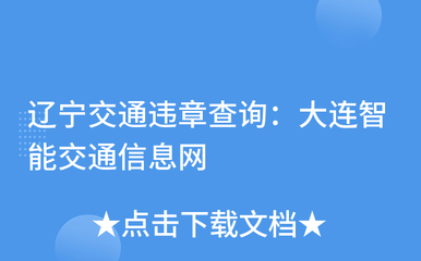 辽宁交通违章查询网,辽宁交通违法查询