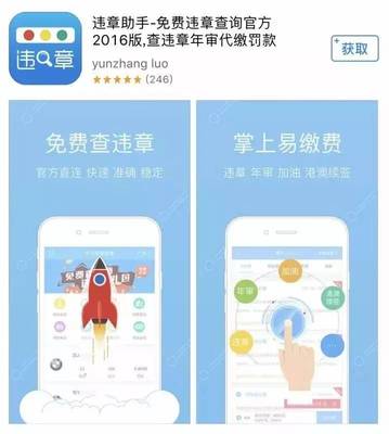 免费查违章车辆查询,免费查违章车辆查询照片