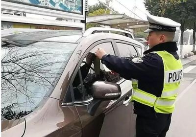 不是本人车主怎么查违章,不是本人车辆如何查违章