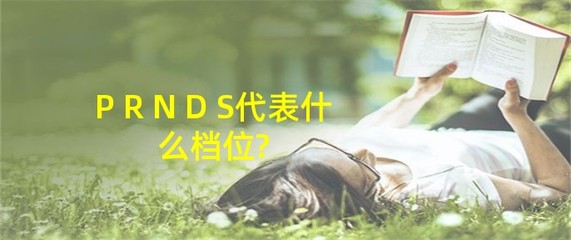 prnds代表什么档位图片,prnds分别是什么档位