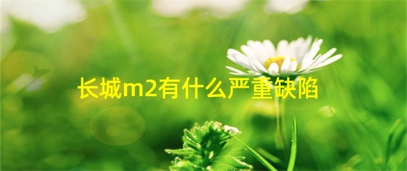长城m2严重缺陷,长城m2毛病多吗