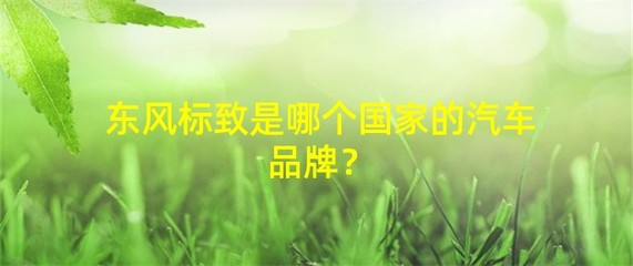 东风标致是哪个国家的,东风标致是哪个国家的汽车