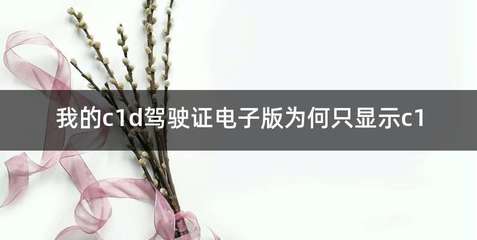 查一下我的驾照,查一下我的驾照怎么查