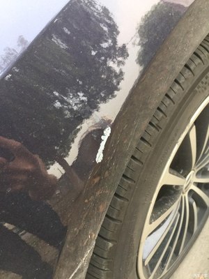 输入车牌号直接查车主,输入车牌号直接查车主电话