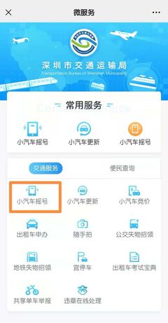 小汽车摇号申请系统,小汽车摇号网站登录