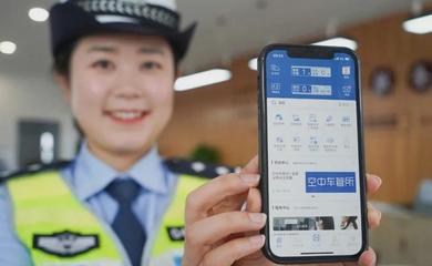 驾驶证查询系统入口,驾驶证信息查询平台官网