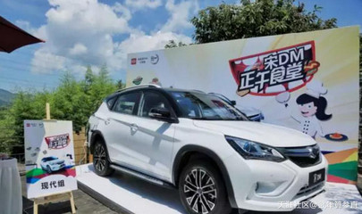 比亚迪宋油电混合2022款suv,比亚迪宋油电混合2022款suv图片
