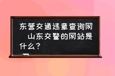 山东省交通违章查询官网,山东交通违章查询系统官网