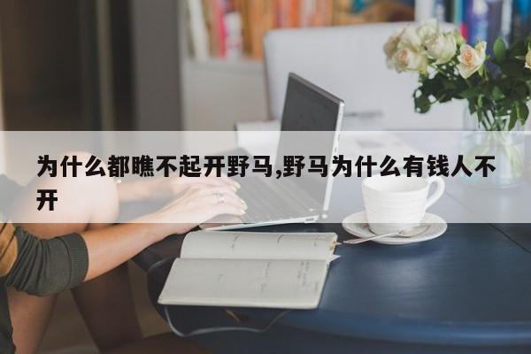 为什么都瞧不起开野马,野马为什么有钱人不开