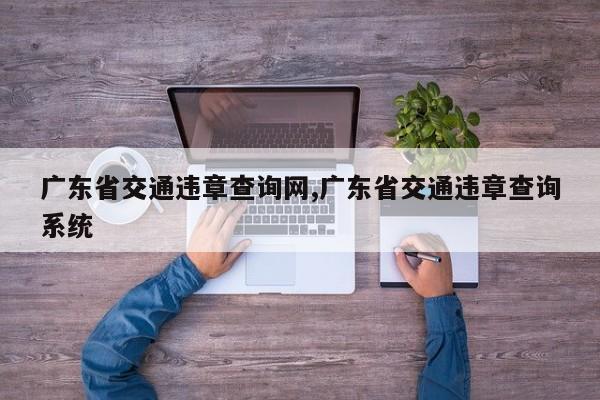 广东省交通违章查询网,广东省交通违章查询系统