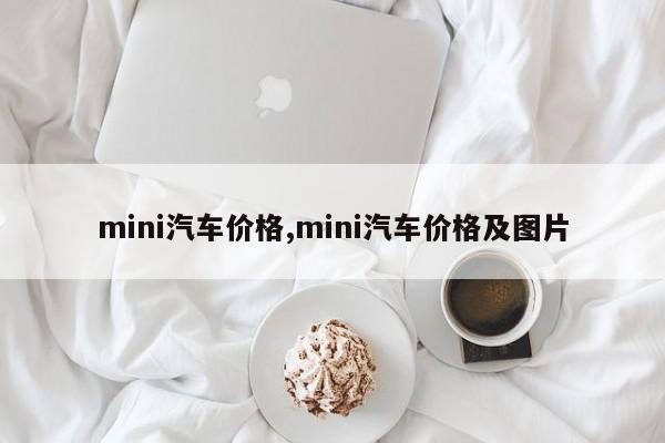 mini汽车价格,mini汽车价格及图片