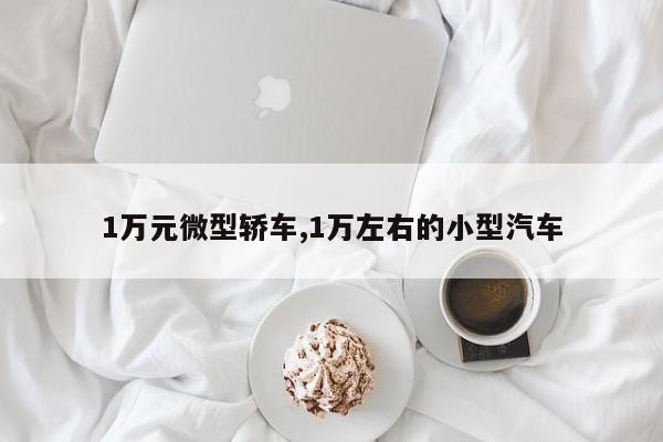 1万元微型轿车,1万左右的小型汽车