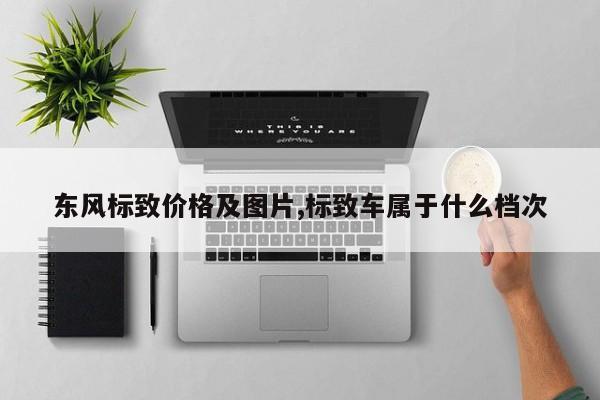 东风标致价格及图片,标致车属于什么档次
