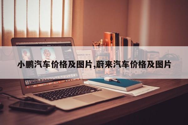 小鹏汽车价格及图片,蔚来汽车价格及图片