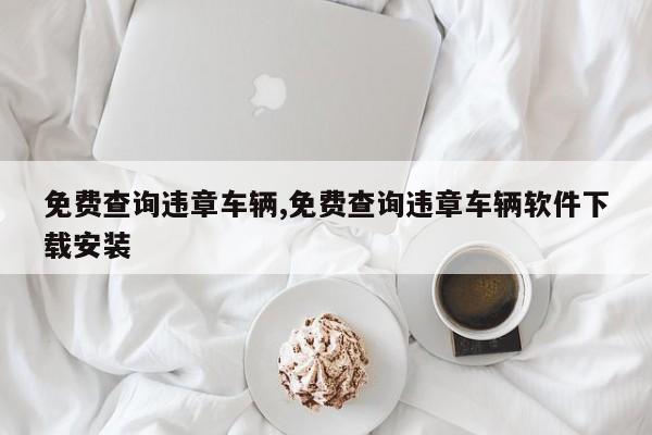 免费查询违章车辆,免费查询违章车辆软件下载安装