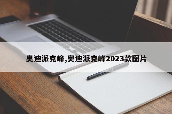 奥迪派克峰,奥迪派克峰2023款图片