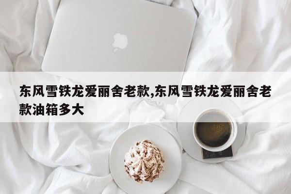 东风雪铁龙爱丽舍老款,东风雪铁龙爱丽舍老款油箱多大