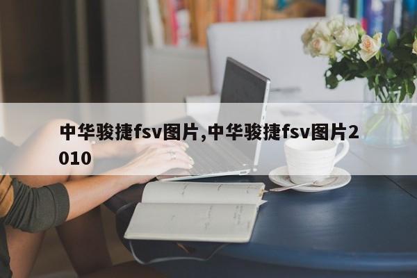 中华骏捷fsv图片,中华骏捷fsv图片2010