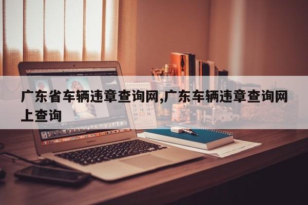 广东省车辆违章查询网,广东车辆违章查询网上查询