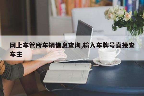 网上车管所车辆信息查询,输入车牌号直接查车主