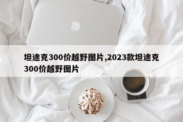 坦途克300价越野图片,2023款坦途克300价越野图片